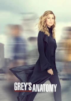 Grey’s Anatomy 14ª Temporada Completa