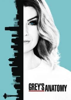 Grey’s Anatomy 15ª Temporada Completa