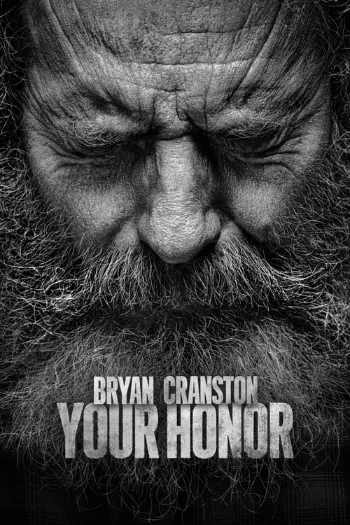 Your Honor – 2ª Temporada Completa